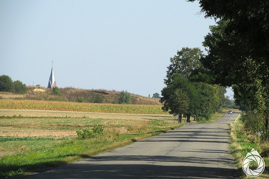 Płasko i prosto, musi być blisko lubelszczyzny