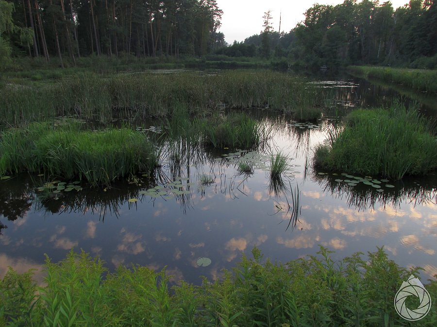 Zachód nad wodą