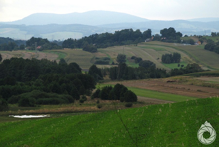 Cergowa w oddali