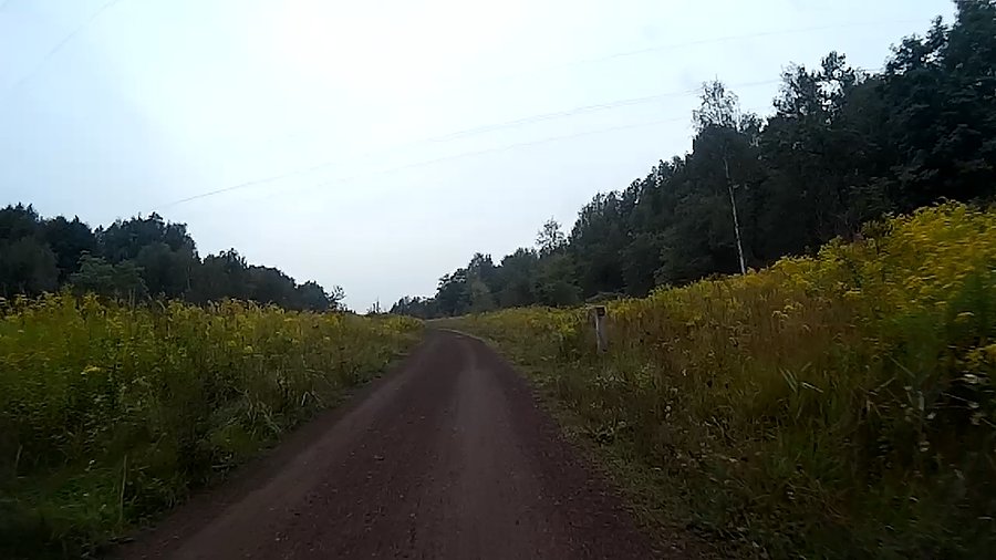 Wzdłuż potoku Bielszowickiego