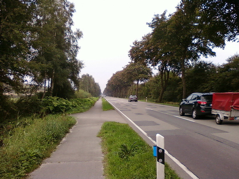 Ciąg pieszo-rowerowy wzdłuż szosy