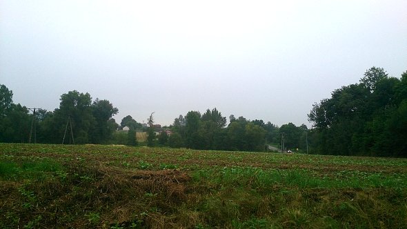 Pola w Tuszowie