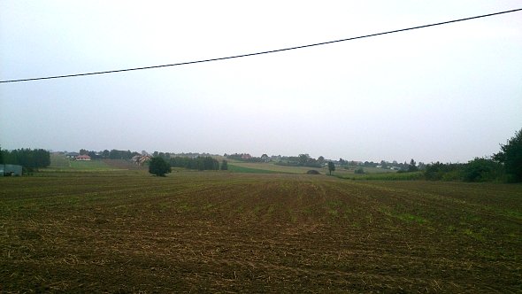 Pola w Jabłonnej