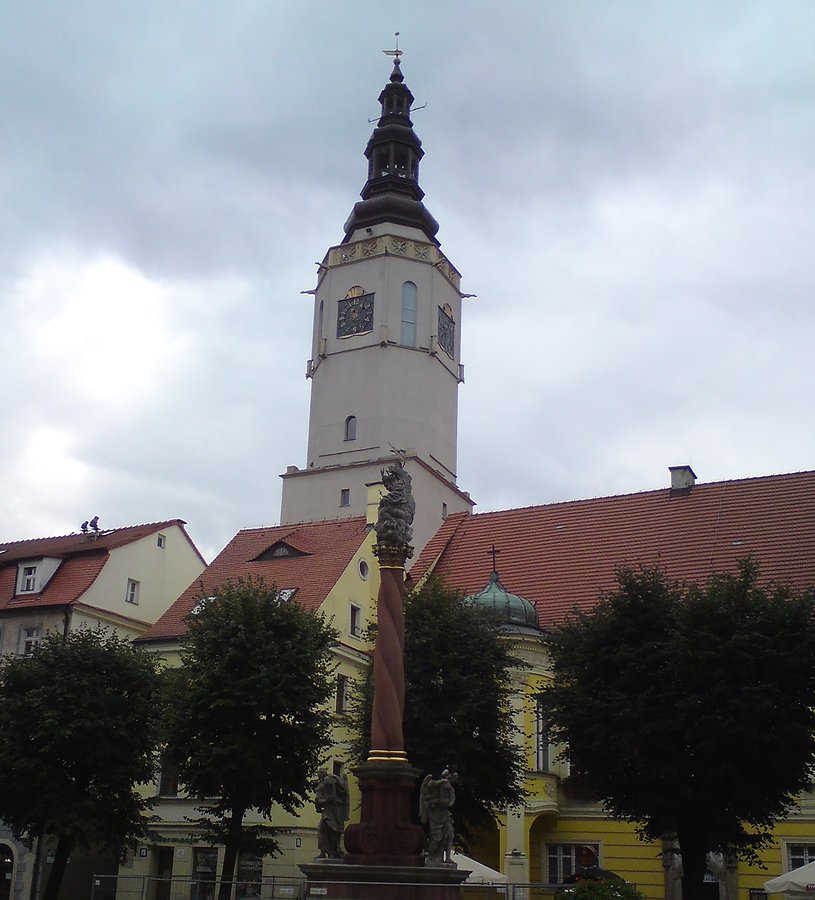 Ratusz w Świdnicy