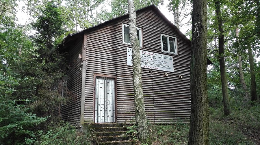 Wymarła Tajga