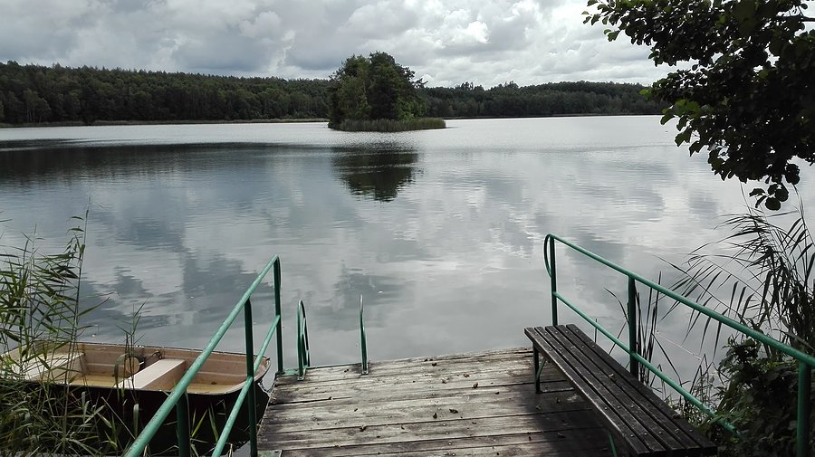 Kontemplacja