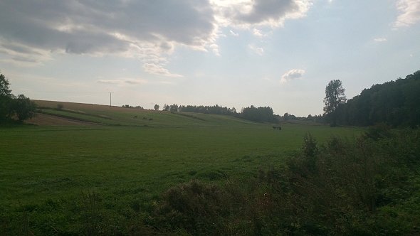 Łąki koło Giełczwi