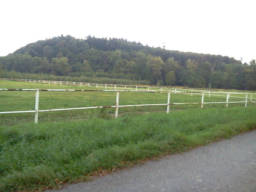 Štandl