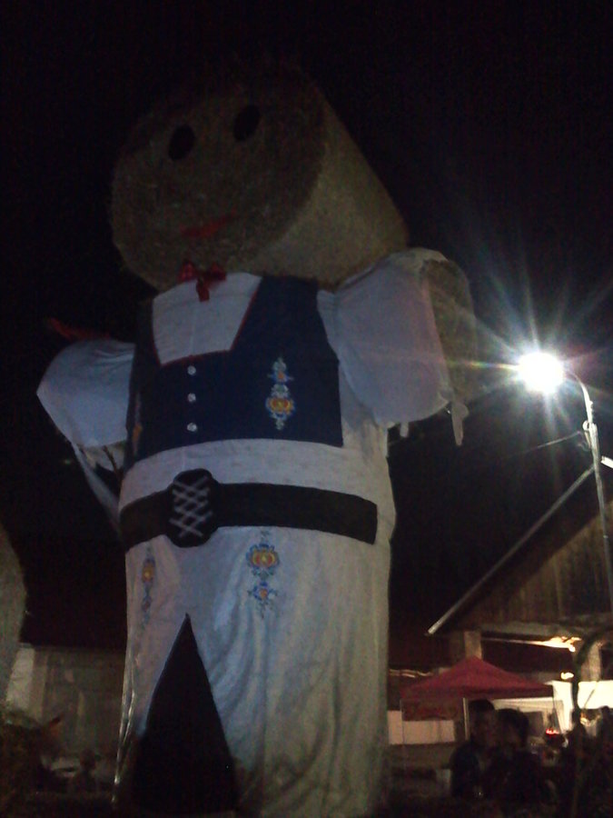 Dożynki w Toszanowicach