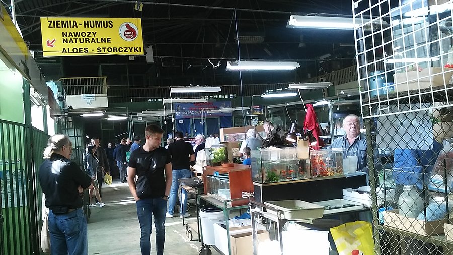 Giełda zoologiczna Start
