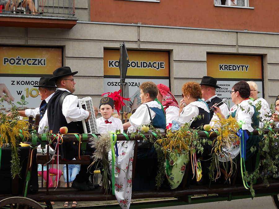 Pochód