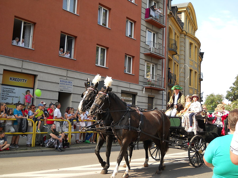 Pochód
