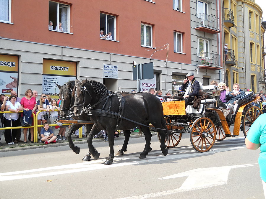Pochód