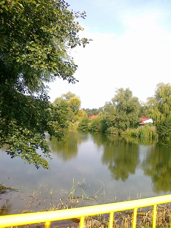 Drugi staw