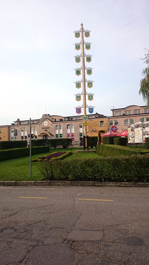Siedlce nieraz już były moją bazą do gmin