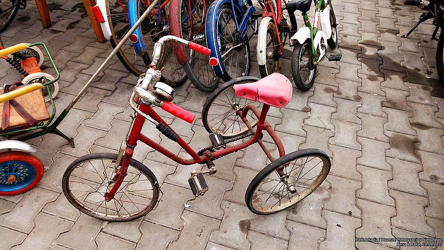 Muzeum Motoryzacji w Nieborowie