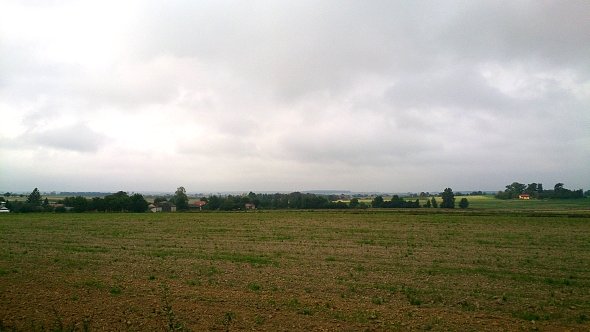 Pola koło Wierciszowa