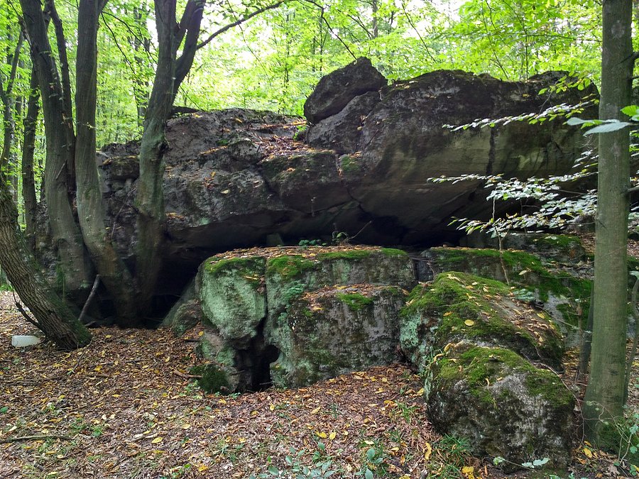 Bunkry w okolicach Skrzynek