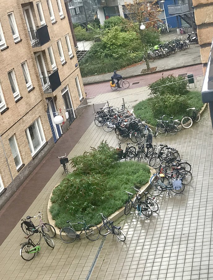 Ranek widok z okna