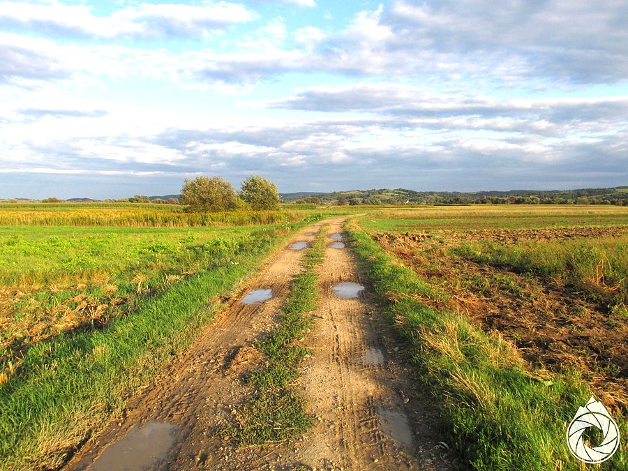 Dojazdówka nad San