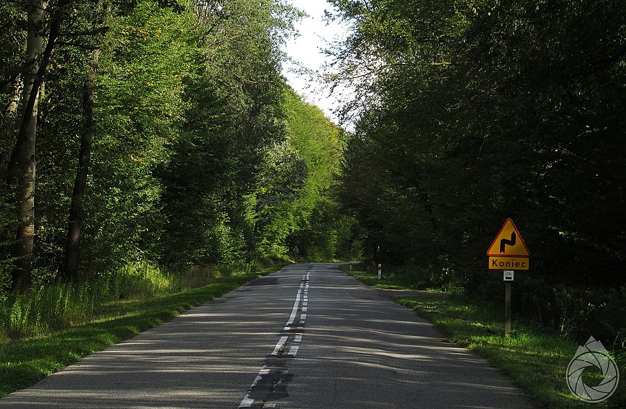 Wojewódzka trasa na Lubaczów
