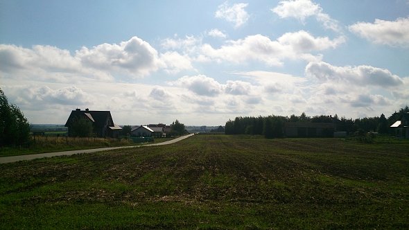 Pola w Zemborzycach