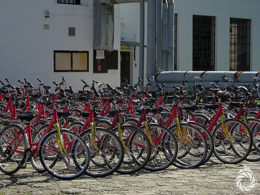 Jedna z wielu wypożyczalni rowerów, ta akurat przy browarze
