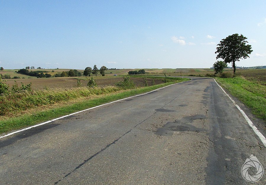 Rokietnica wśród pól