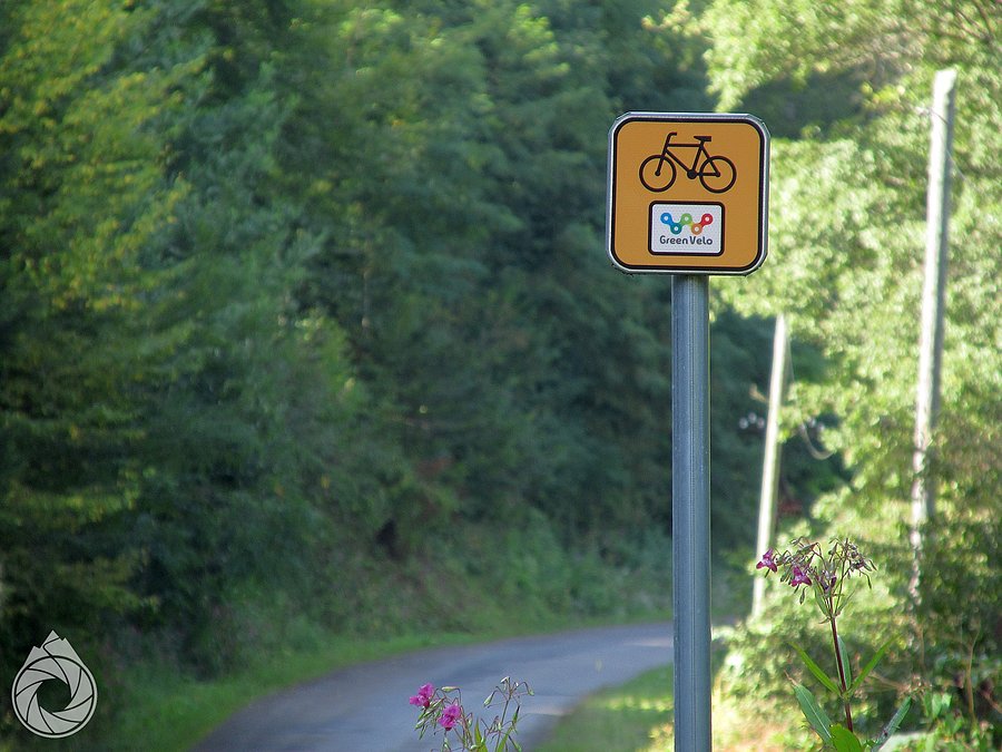 Green Velo wzdłuż Sanu