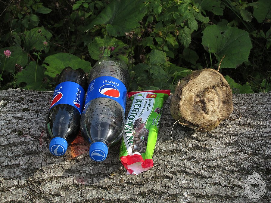 Podwieczorek: pepsi, ciasteczka i buraczek od dzików