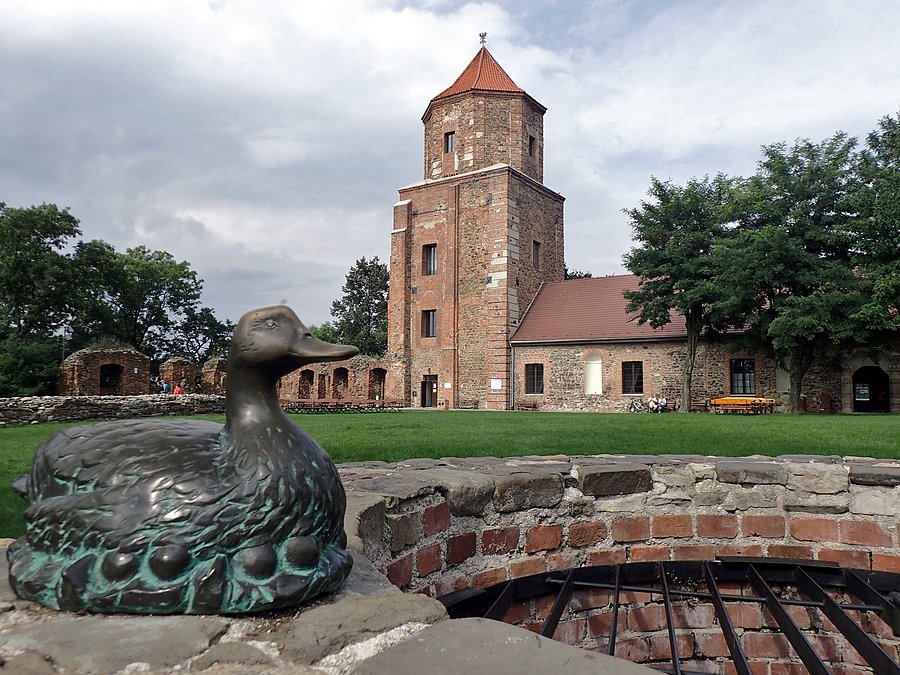 Zamek w Toszku