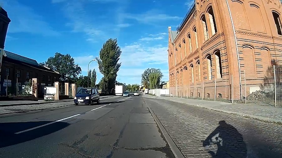 Drzewa się uginają