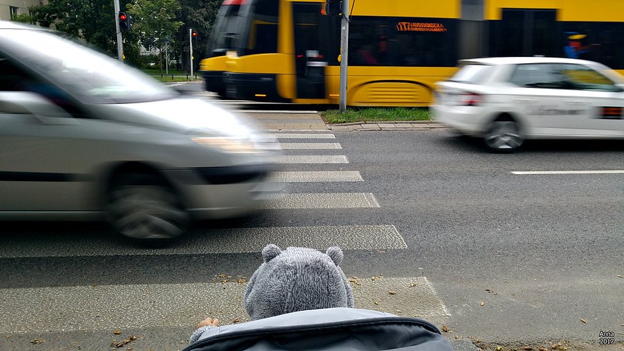 Mój mały entuzjasta Tramwajów :)