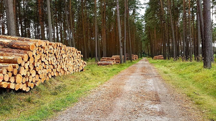 Efekt użycia harvestera