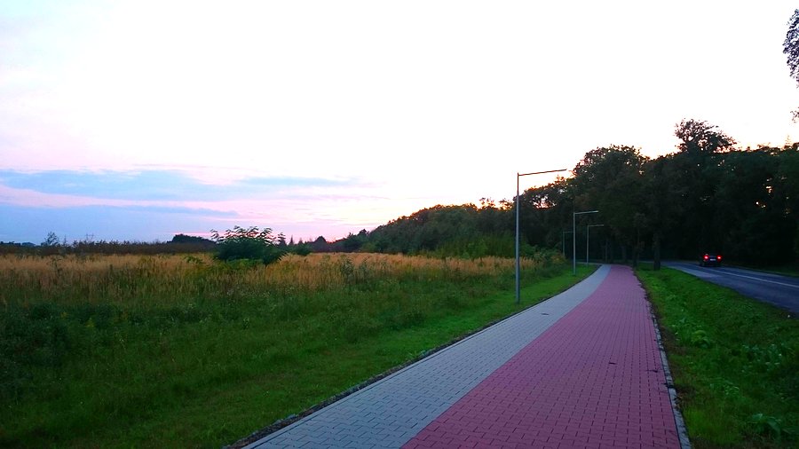 Strzykuły