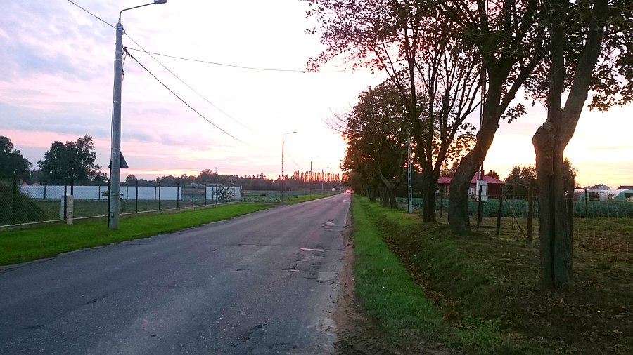 Droga do Borzęcina