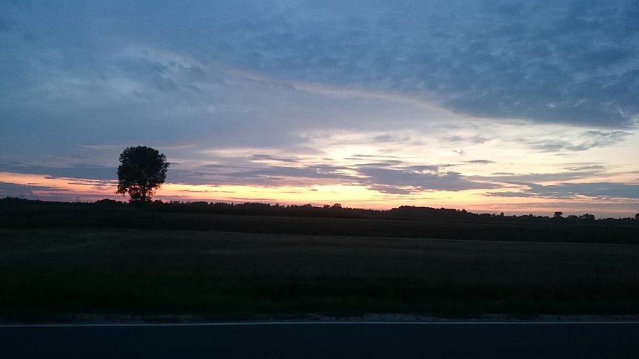 Z Pogroszewa do Borzęcina