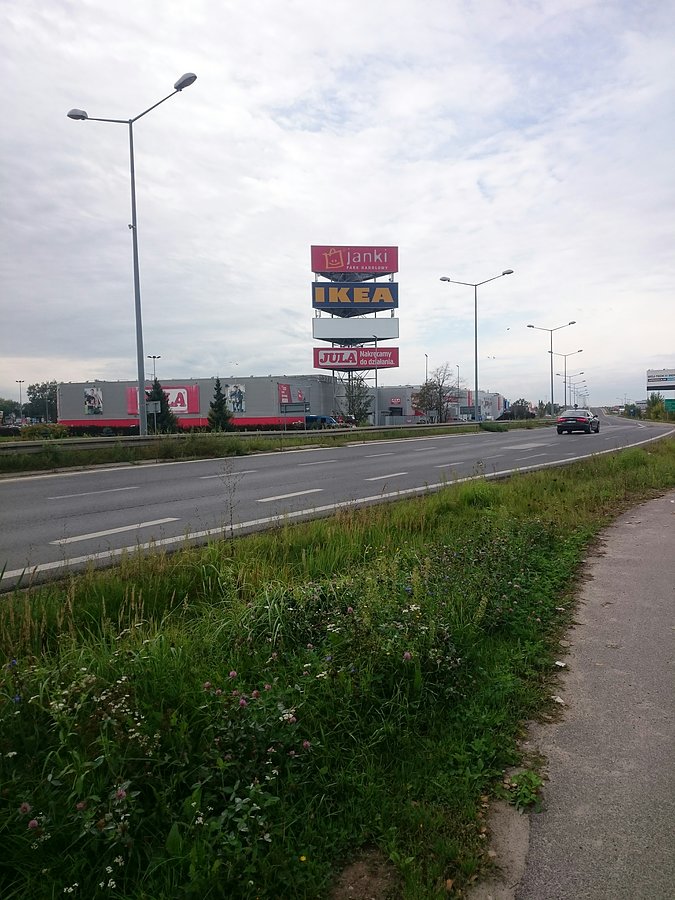 Taka biby służbowa fota