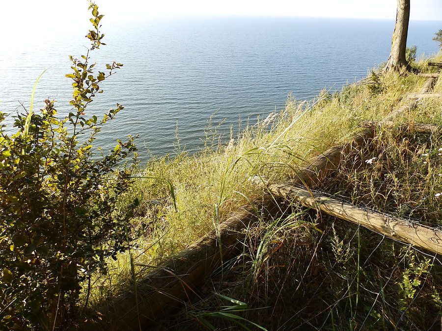 Widok z Gosania