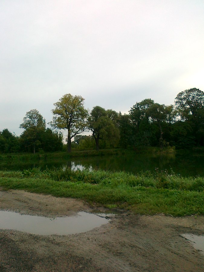 Tradycyjna fotka stawu