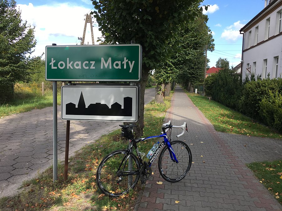Łokacz Mały nad jeziorem Królewskim