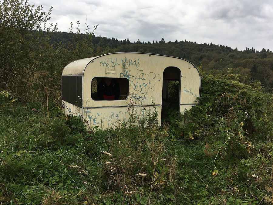Bieszczadzkie In-To-The-Wild