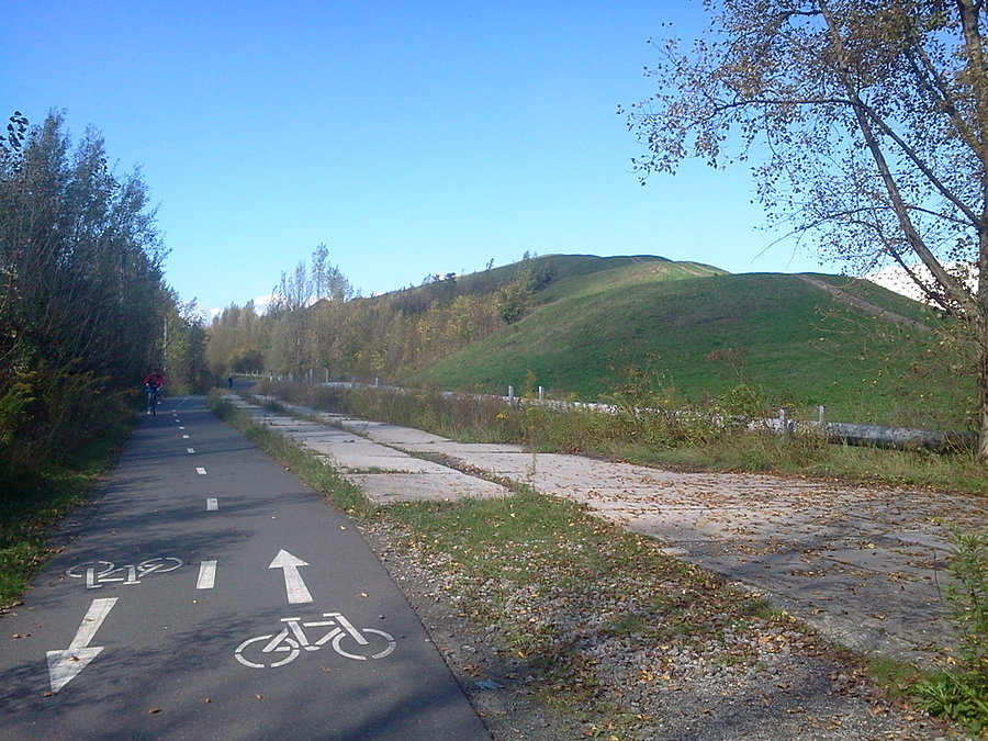 Na ścieżce rowerowej