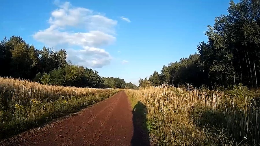 Wzdłuż potoku Bielszowickiego