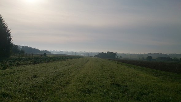 Pola w Zemborzycach