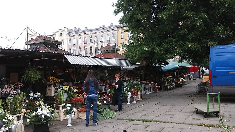 Zielony Rynek