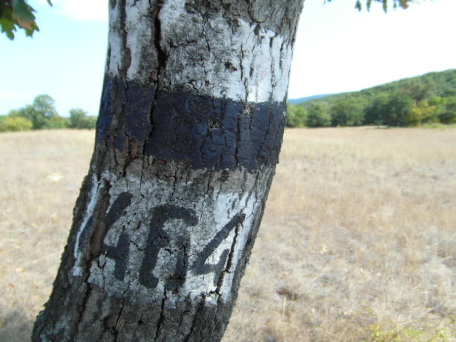 Szlaki piesze Bałkanów