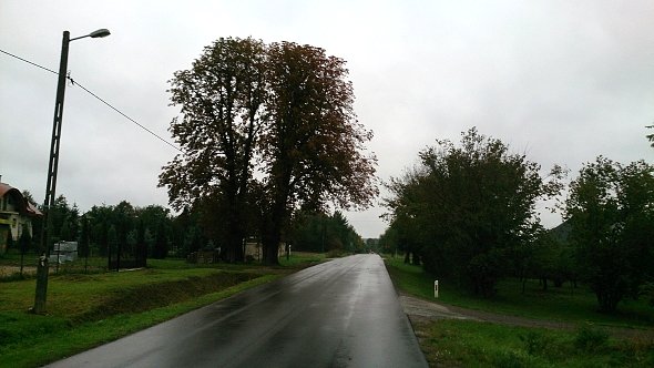 Asfalty w Osmolicach