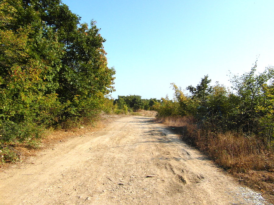 Szutrami do miejscowości Koszarica– Bułgaria