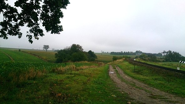 Pola w Zemborzycach